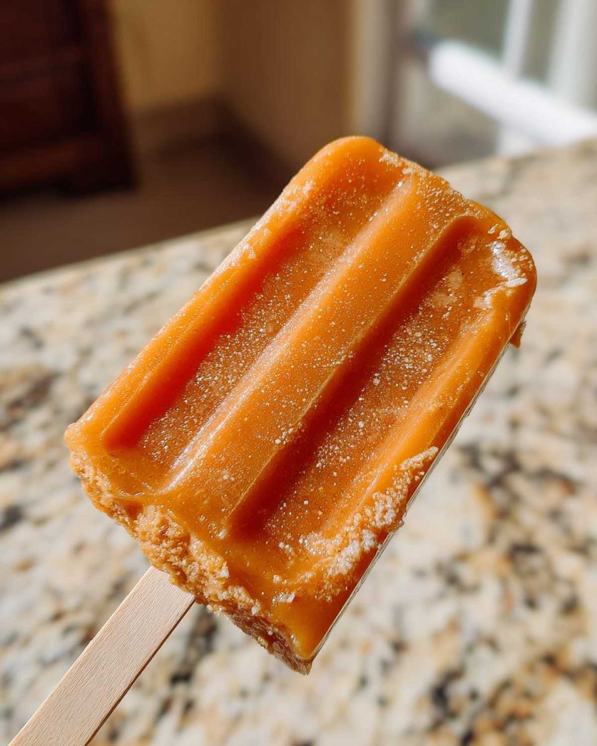 Pumpkin Spice Cold Brew Popsicles - detail 1