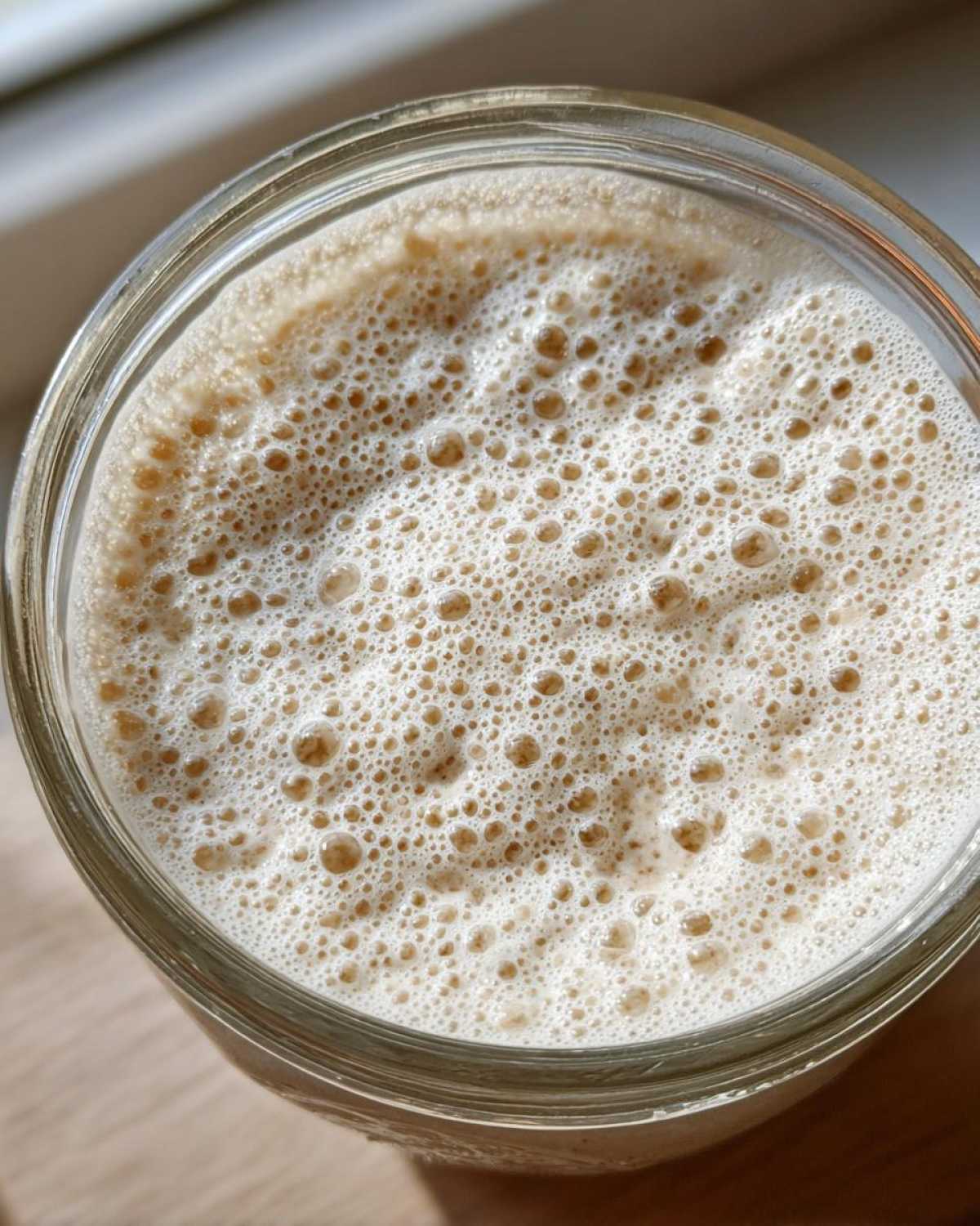 Overhead view of a highly active sourdough starter showing many small, uniform bubbles on the surface.