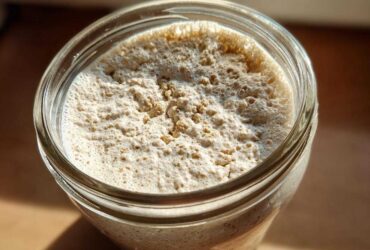 Overhead view of a very active sourdough starter, showing a thick layer of foam and bubbles on top.