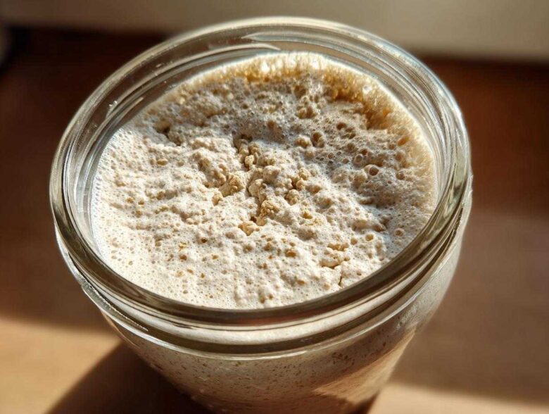 Overhead view of a very active sourdough starter, showing a thick layer of foam and bubbles on top.