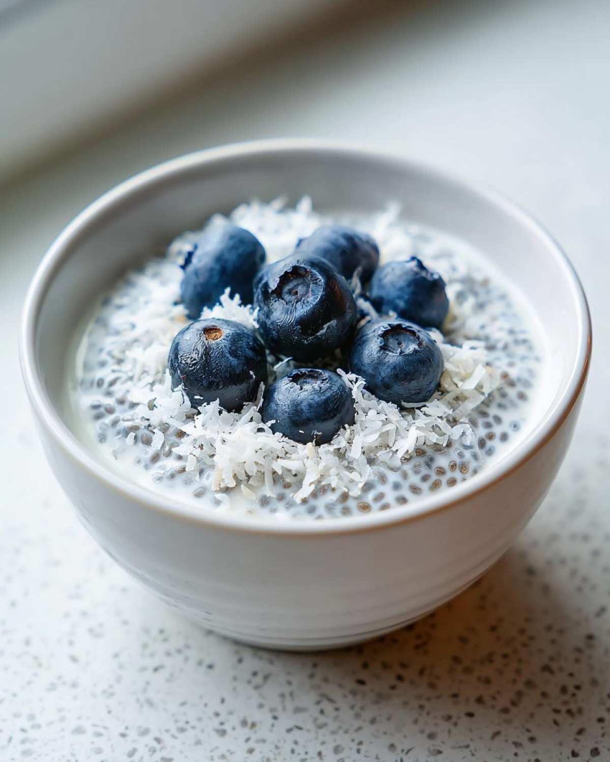 A close-up of creamy coconut chia pudding topped with fresh blueberries and shredded coconut.
