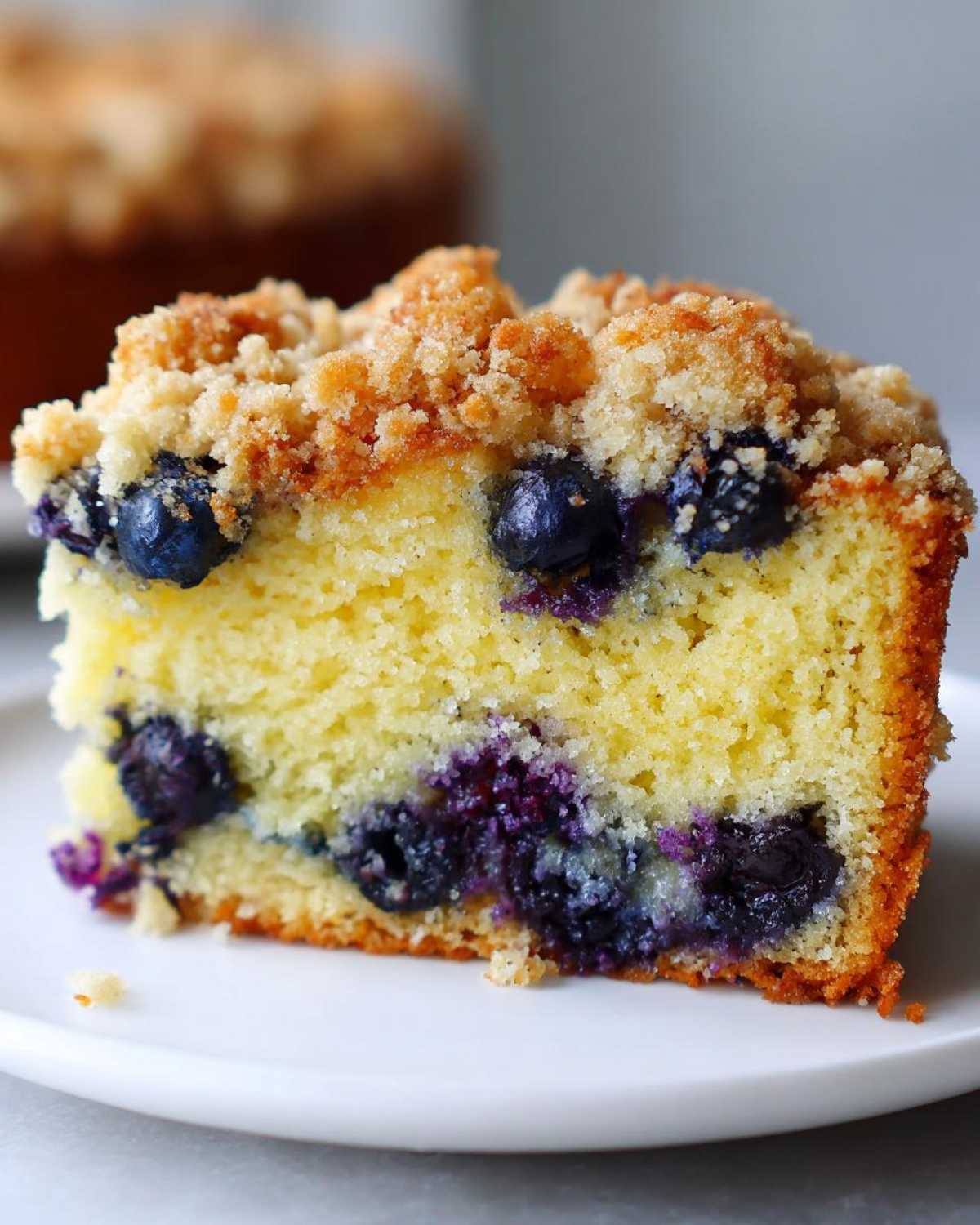 Close-up of a moist slice of Blueberry Almond Coffee Cake showing embedded blueberries and a thick, buttery crumb topping.